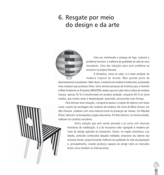 65
6. Resgate por meio
do design e da arte
Uma vez minimizada a ameaça do fogo, subsiste o
problema humano: a melhoria da qualidade de vida de seus
moradores. Uma das soluções para esse problema se
encontra na própria floresta.
A Amazônia, como se sabe, é o maior produtor de
madeira tropical do mundo. Mas grande parte do
desmatamento é predatória. Além disso, a indústria da madeira é ineficiente, produzindo
mais resíduos que produtos finais. Uma recente pesquisa do Instituto para o Homem
e Meio Ambiente na Amazônia (IMAZON) revelou que em cada metro cúbico de madeira
maciça, apenas 35 % é transformado em produto acabado, enquanto 65 % se torna
resíduo, que muitas vezes é desperdiçado, queimado, provocando mais fumaça.
Para atenuar essa situação, o programa apoiou a criação de objetos com baixo
custo, a partir da reciclagem dos resíduos de madeira. No norte de Mato Grosso, em
Alta Floresta, colabora com uma indústria local na produção de móveis. Em Marabá
(Pará), fabricam-se brinquedos e jogos educativos. Em Breu Branco, no mesmo estado,
realizam-se carteiras escolares.
Outra solução que vem sendo pensada e já conta com diversas
tentativas de viabilização, é a de incorporar valor agregado à madeira por
meio do design aplicado ao artesanato. Assim, na região amazônica, Luiz
Galvão, profundo conhecedor daquela realidade, empresta seu talento aos
artesãos locais, proporcionando melhoria da qualidade de vida da população
e, principalmente, criando produtos capazes de atingir tanto os mercados
locais como também os internacionais.
 