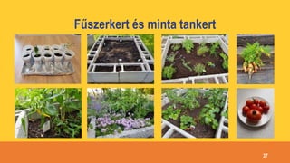 Fűszerkert és minta tankert
37
 