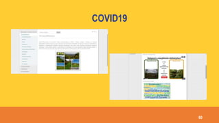 COVID19
60
 