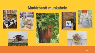 Madárbarát munkahely
62
 