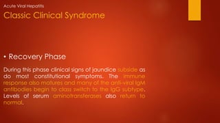 • Recovery Phase
During this phase clinical signs of jaundice subside as
do most constitutional symptoms. The immune
response also matures and many of the anti-viral IgM
antibodies begin to class switch to the IgG subtype.
Levels of serum aminotransferases also return to
normal.
Classic Clinical Syndrome
Acute Viral Hepatitis
 