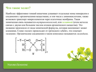Что такое хелат? 
Наиболее эффективно тонкий кишечник усваивает отдельные ионы минералов в 
соединении с органическими веществами, в том числе с аминокислотами, также 
возможен транспорт микроэлементов через клеточные мембраны. Такая 
химическая связь называется внутрикомплексной, или хелатной (атом металла 
связан с двумя или большим числом атомов органического вещества). Это 
название произошло от вида химической формулы, которая напоминает захват 
клешнями. Слово «хелат» происходит от греческого «chele», что означает 
«клешня». Органические соединения в таком комплексе называются лигандами. 
 