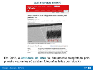 Biologia e Geologia - 11.o ano DNA 48
Em 2012, a estrutura do DNA foi diretamente fotografada pela
primeira vez (antes só existiam fotografias feitas por raios X).
Qual a estrutura do DNA?
 