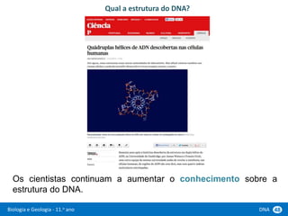 Biologia e Geologia - 11.o ano DNA 48
Os cientistas continuam a aumentar o conhecimento sobre a
estrutura do DNA.
Qual a estrutura do DNA?
 