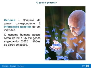 Biologia e Geologia - 11.o ano DNA 48
Genoma - Conjunto de
genes correspondente à
informação genética de um
indivíduo.
O genoma humano possui
cerca de 20 a 25 mil genes
englobando 2.825 milhões
de pares de bases.
O que é o genoma?
 