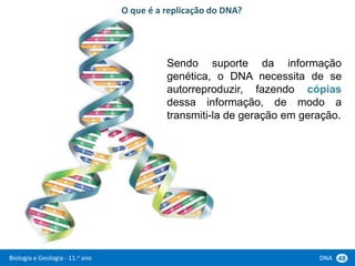 Biologia e Geologia - 11.o ano DNA 48
Sendo suporte da informação
genética, o DNA necessita de se
autorreproduzir, fazendo cópias
dessa informação, de modo a
transmiti-la de geração em geração.
O que é a replicação do DNA?
 