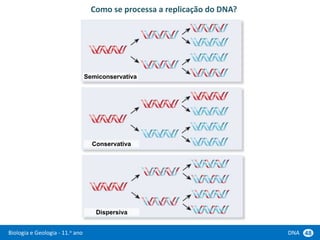 Biologia e Geologia - 11.o ano DNA 48
Como se processa a replicação do DNA?
Semiconservativa
Conservativa
Dispersiva
 