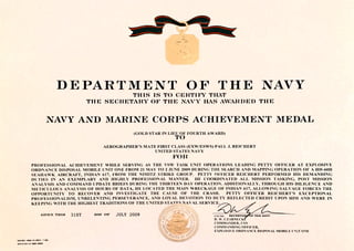 Navy Achievement Medal (2)