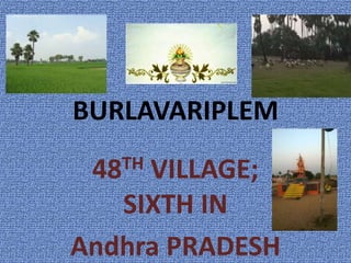 BURLAVARIPLEM
48TH VILLAGE;
SIXTH IN
Andhra PRADESH
 