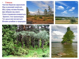 • Учитель.
Чистим берегом заросяним
Йду в ранковій сизій млі,
Мну траву ногами босими,
Дух вбираю від землі.
Сила струменем вливається,
Кропить тіло прохолодою,
Тут душа моя вінчається
Вічним шлюбом із природою.
 
