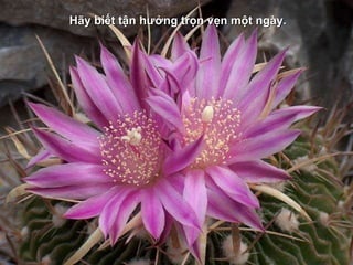 H ãy biết tận hưởng trọn vẹn một ngày. 