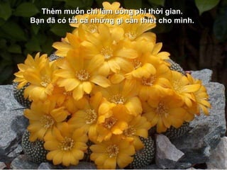 Thèm muốn chỉ làm uổng   phí thời gian.  Bạn đã có tất cả những gì cần thiết cho mình.   