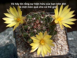 V à hãy tin rằng sự hiện hữu của bạn trên đời là một món quà cho cả thế giới. 