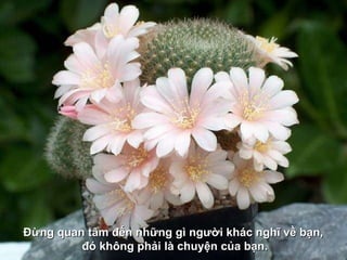 Đừng quan tâm đến những gì người khác nghĩ về bạn,  đó không phải là chuyện của bạn. 