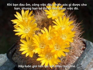 Khi bạn đau ốm, công việc đâu chăm sóc gì được cho bạn, nhưng bạn bè thì sẽ làm được việc đó.   Hãy luôn giữ liên lạc với nhau bạn   nhé. 