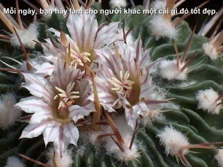 Mỗi ngày, bạn hãy làm cho người khác một cái gì đó tốt đẹp.  