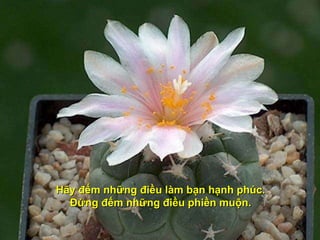 H ãy đếm những điều làm bạn hạnh phúc. Đ ừng đếm những điều phiền muộn. 
