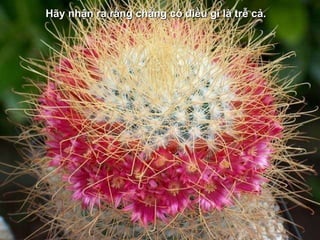 H ãy nhận ra rằng chẳng có điều gì là trễ cả. 