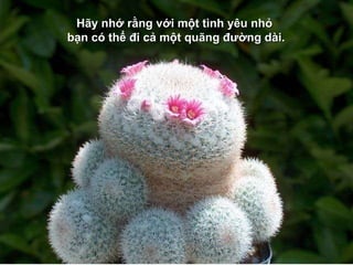 H ãy nhớ rằng với một tình yêu nhỏ  bạn có thể đi cả một quãng đường dài. 