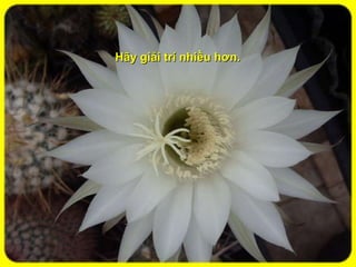 Hãy giải trí nhiều hơn.   