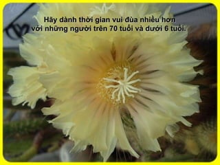 Hãy dành thời gian vui đùa nhiều hơn với những người trên 70 tuổi và dưới 6 tuổi.  