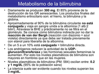 Metabolismo de la bilirrubina
• Diariamente se producen 300 mg. El 85% proviene de la
  destrucción de los GR senescentes. Los productos finales del
  metabolismo eritrocitario son: el hierro, la bilirrubina y la
  globina.
• Aproximadamente el 90% de la bilirrubina circulante no está
  conjugada y viaja en sangre unida a la albúmina (1 alb:2
  bilirr). Atraviesa la BHE y prácticamente no se filtra en el
  glomérulo. Se conoce como bilirrubina indirecta por no dar la
  reacción de van der Bergh (reacción con diazonio = azul
  violeta) directamente ya que debe ser tratada previamente
  con etanol para liberarla de la albúmina.
• De un 5 a un 10% está conjugada = bilirrubina directa.
• Los andrógenos reducen la actividad de la UDP-
  gluruconiltransferasa y las hormonas sexuales femeninas la
  aumentan. Por esto los niveles plasmáticos de bilirrubina son
  mayores en hombres que en las mujeres.
• Niveles plasmáticos de bilirrubina (PM: 584) oscilan entre: 0.2
  y 1 mg/dL (95% de la población sana)
• La ictericia suele ser evidente cuando los niveles superan los
  3 mg/dL.
 