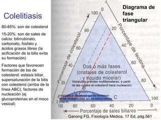 Diagrama de
                                                                                fase
 Colelitiasis                                                                   triangular
80-85%: son de colesterol
15-20%: son de sales de
calcio: bilirrubinato,
carbonato, fosfato y
ácidos grasos libres (la
acificación de la bilis evita
su formación)
Factores que favorecen
formación de los de
colesterol: estasis biliar,
supersaturación de la bilis               Vesículas grandes multilamelares, a partir
con colesterol (arriba de la              de las cuales el colesterol hace nucleación.
lìnea ABC), factores de
nucleación (ej                  Vesículas unilamelares que se incorporan
glucoproteinas en el moco       en las micelas mixtas con los ácidos biliares
                                y los PL
vesical)


                                       Ganong FG, Fisiología Médica, 17 Ed, pág.561
 