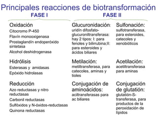 Principales reacciones de biotransformación
             FASE I                                      FASE II
  Oxidación                          Glucuronidación: Sulfonación:
  Citocromo P-450                    uridín difosfato-           sulfotransferasa,
  Flavín monooxigenasa               glucuroniltransferasa:      para esteroides,
                                     hay 2 tipos: I: para        catecoles y
  Prostaglandín endoperóxido         fenoles y bilirrubina;II:   xenobióticos
  sintetasa                          para esteroides y
  Alcohol deshidrogenasa             ácidos biliares

  Hidrólisis                         Metilación:                 Acetilación:
  Esterasas y amidasas               metiltransferasa, para      acetiltransferasa
  Epóxido hidrolasas                 catecoles, aminas y         para aminas
                                     tioles

  Reducción                          Conjugación de              Conjugación
  Azo reductasas y nitro             aminoácidos:                de glutatión:
  reductasas                         aciltransferasas para       glutatión-S-
  Carbonil reductasas                ac biliares                 transferasa, para
  Sulfóxidos y N-óxidos-reductasas                               productos de la
                                                                 peroxidación de
  Quinona reductasas                                             lípidos
 