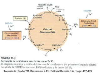 1 oxígeno
                            unido al S
                                              1 oxígeno en
                                              el agua




Tomado de: Devlin TM. Bioquímica. 4 Ed. Editorial Reverte S.A.; pags: 467-489
 