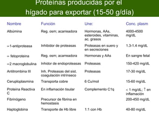 Proteínas producidas por el
            hígado para exportar (15-50 g/día)
Nombre              Función                    Une:                     Conc. plasm
Albúmina            Reg. osm; acarreadora      Hormonas, AAs,           4000-4500
                                               esteroides, vitaminas,   mg/dL
                                               ac. grasos
∝1-antiproteasa     Inhibidor de proteasas     Proteasas en suero y     1.3-1.4 mg/dL
                                               en secreciones
∝ fetoproteina      Reg. osm; acarreadora      Hormonas y AAs           En sangre fetal

∝2 macroglobulina   Inhidor de endoproteasas   Proteasas                150-420 mg/dL

Antitrombina III    Inh. Proteasas del sist.   Proteasas                17-30 mg/dL
                    coagulación intrínseco
Ceruploplasmina     Transporta cobre           6 Cu/mol                 15-60 mg/dL

Proteina Reactiva   En inflamación tisular     Complemento C1q          < 1 mg/dL; ↑ en
C                                                                       inflamación
Fibrinógeno         Precursor de fibrina en                             200-450 mg/dL
                    hemostasis
Haptoglobina        Transporte de Hb libre     1:1 con Hb               40-80 mg/dL
 