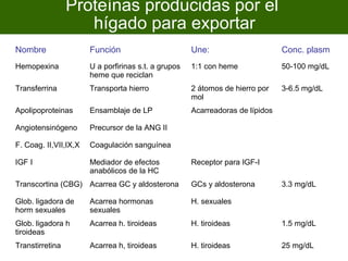 Proteínas producidas por el
                    hígado para exportar
Nombre                 Función                        Une:                      Conc. plasm
Hemopexina             U a porfirinas s.t. a grupos   1:1 con heme              50-100 mg/dL
                       heme que reciclan
Transferrina           Transporta hierro              2 átomos de hierro por    3-6.5 mg/dL
                                                      mol
Apolipoproteinas       Ensamblaje de LP               Acarreadoras de lípidos

Angiotensinógeno       Precursor de la ANG II

F. Coag. II,VII,IX,X   Coagulación sanguínea

IGF I                  Mediador de efectos            Receptor para IGF-I
                       anabólicos de la HC
Transcortina (CBG) Acarrea GC y aldosterona           GCs y aldosterona         3.3 mg/dL

Glob. ligadora de      Acarrea hormonas               H. sexuales
horm sexuales          sexuales
Glob. ligadora h       Acarrea h. tiroideas           H. tiroideas              1.5 mg/dL
tiroideas
Transtirretina         Acarrea h, tiroideas           H. tiroideas              25 mg/dL
 