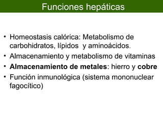 Funciones hepáticas


• Homeostasis calórica: Metabolismo de
  carbohidratos, lípidos y aminoácidos .
• Almacenamiento y metabolismo de vitaminas
• Almacenamiento de metales: hierro y cobre
• Función inmunológica (sistema mononuclear
  fagocítico)
 