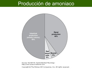 Producción de amoniaco
 