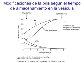 Modificaciones de la bilis según el tiempo
  de almacenamiento en la vesícula


                                Es isotónica por
                                incorporación de ácidos
                                biliares en las micelas
 