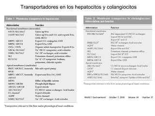 Transportadores en los hepatocitos y colangiocitos
 