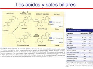 Los ácidos y sales biliares
  pKas ~ 7
 