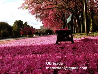 Obrigada
mstorriani@gmail.com
 