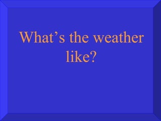 What’s the weather like? 