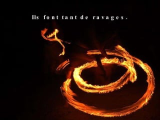 Ils font tant de ravages. 