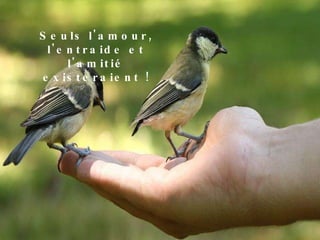 Seuls l'amour, l'entraide et l'amitié existeraient ! 