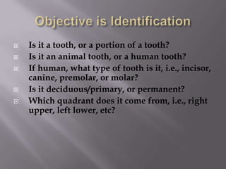    Is it a tooth, or a portion of a tooth?
   Is it an animal tooth, or a human tooth?
   If human, what type of tooth is it, i.e., incisor,
    canine, premolar, or molar?
   Is it deciduous/primary, or permanent?
   Which quadrant does it come from, i.e., right
    upper, left lower, etc?
 