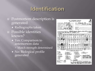    Postmortem description is
    generated
       Radiographs taken
   Possible identities
    known?
       Yes: Comparison to
        antemortem data
         Match strength determined
       No: Biological profile
        generated
 