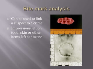    Can be used to link
    a suspect to a crime
   Impressions left on
    food, skin or other
    items left at a scene
 