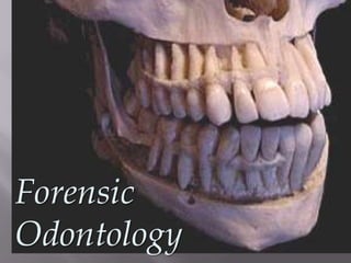 Forensic
Odontology
 