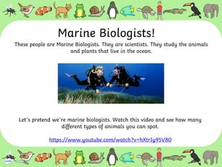 Marine Biologists!
These people are Marine Biologists. They are scientists. They study the animals
and plants that live in the ocean.
Let’s pretend we’re marine biologists. Watch this video and see how many
different types of animals you can spot.
https://www.youtube.com/watch?v=hXtrIy95V80
 