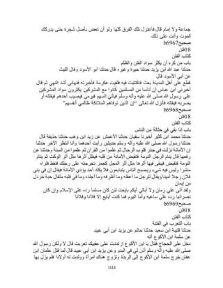 البخاري ومسلم 4919