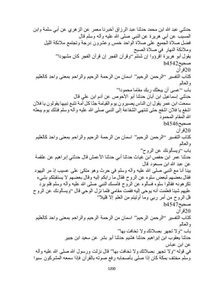 البخاري ومسلم 4919