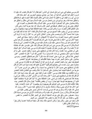 البخاري ومسلم 4919