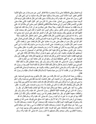 البخاري ومسلم 4919