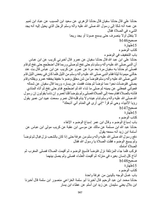 البخاري ومسلم 4919